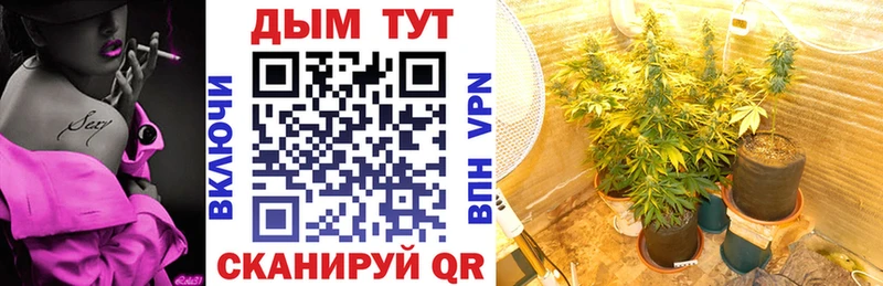 Виды наркотиков купить Вичуга АМФ  Гашиш  МАРИХУАНА 