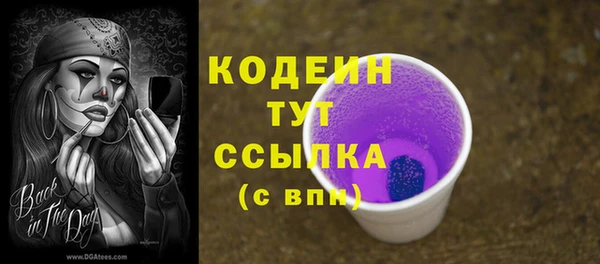 стаф Медногорск