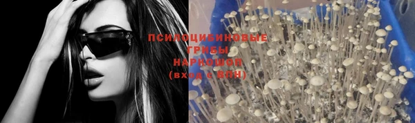 крисы Майский