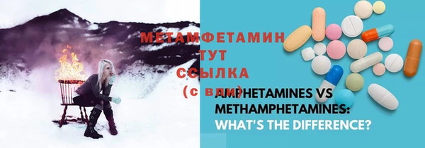 крисы Магас