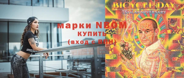 стаф Медногорск