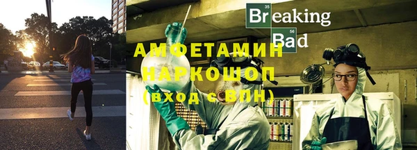 стаф Медногорск