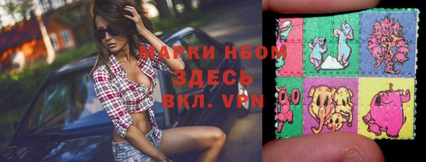 крисы Магас