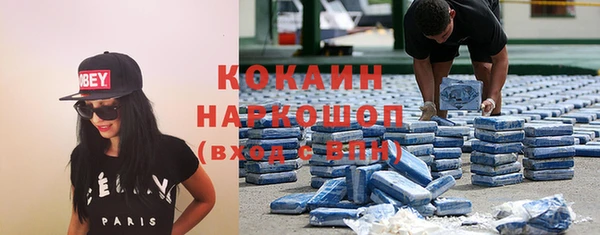 крисы Магас