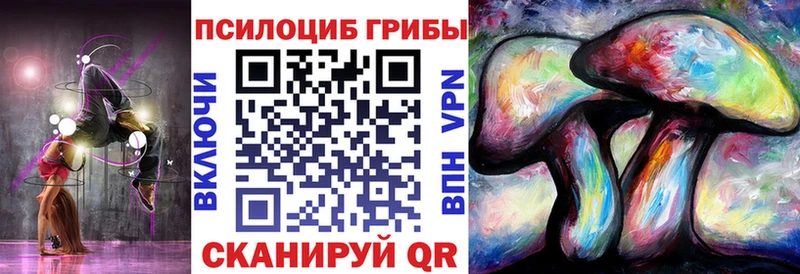 ОМГ ОМГ сайт  наркота  Вичуга  Псилоцибиновые грибы Psilocybe 