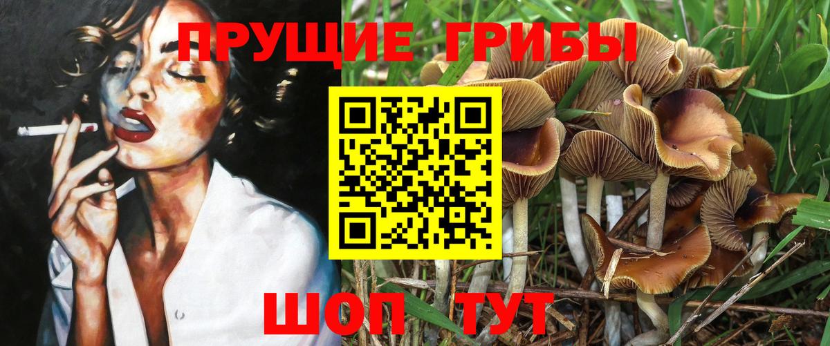 Вичуга  Галлюциногенные грибы прущие грибы  Вход с VPN  Галлюциногенные грибы ЛСД 