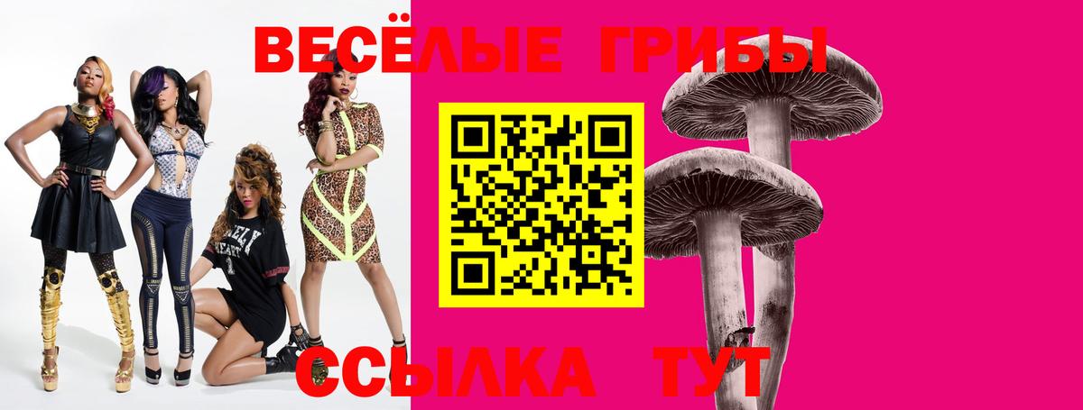 Галлюциногенные грибы Magic Shrooms  Галлюциногенные грибы ЛСД  Вичуга 